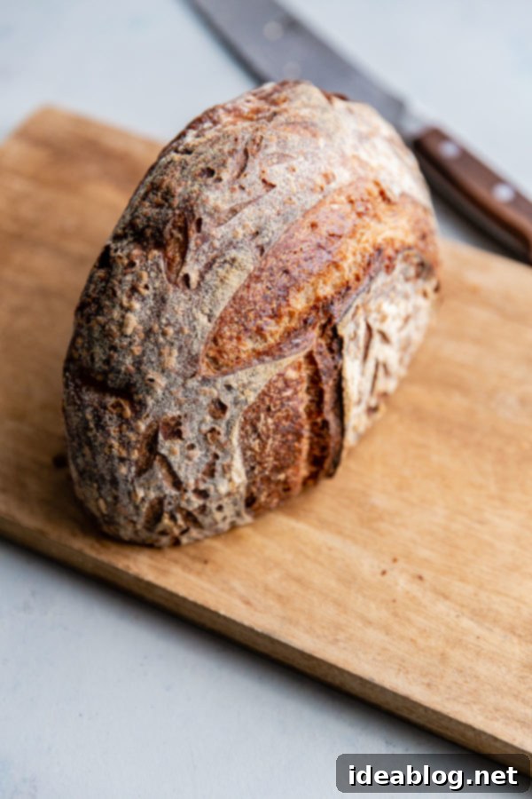 How to Store, Freeze, and Refresh Bread - an easy guide on how to store bread at home, freeze it and refresh it so that it tastes like it's just been baked out of the oven! #abeautifulplate #bread #sourdough #cooking #baking #howto Freshly baked sourdough loaf cooling on a cutting board