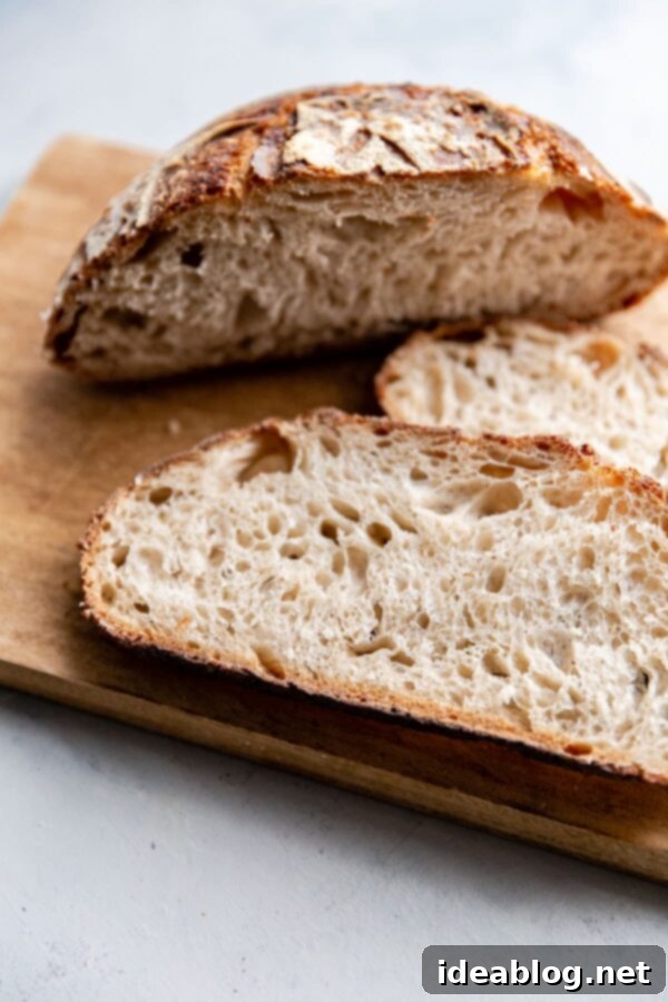 How to Store, Freeze, and Refresh Bread - an easy guide on how to store bread at home, freeze it and refresh it so that it tastes like it's just been baked out of the oven! #abeautifulplate #bread #sourdough #cooking #baking #howto Perfectly sliced sourdough bread revealing a beautiful open crumb