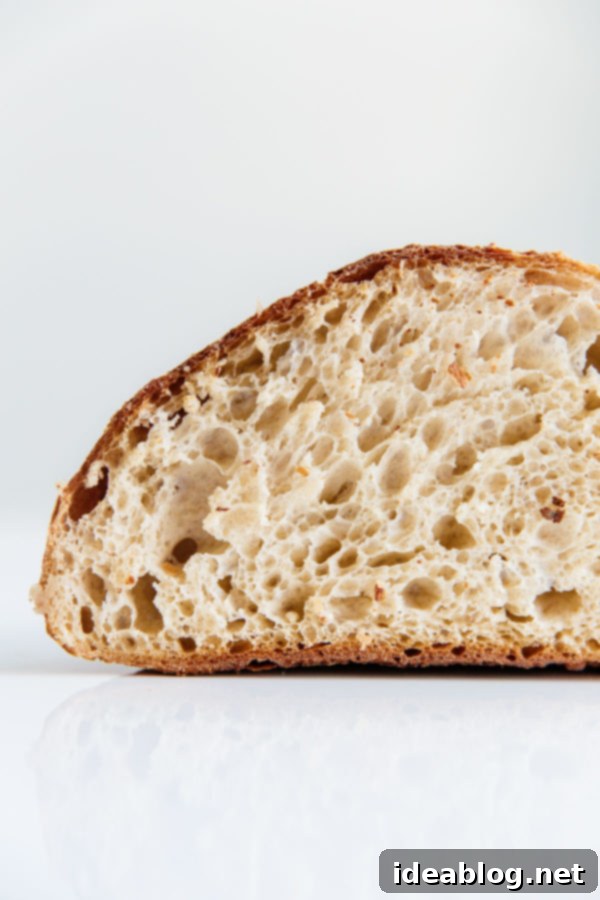 How to Store, Freeze, and Refresh Bread - an easy guide on how to store bread at home, freeze it and refresh it so that it tastes like it's just been baked out of the oven! #abeautifulplate #bread #sourdough #cooking #baking #howto Close-up of a beautiful sourdough bread crumb with open airy holes