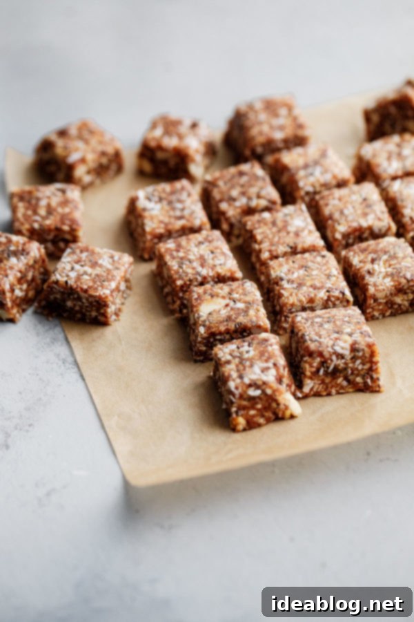 No Bake Energy Bites - a healthy, easy-to-make, and delicious snack perfect for any time of day. Close-up of a serving of no-bake energy bites, showcasing the rich texture and wholesome ingredients like coconut flakes and chia seeds.