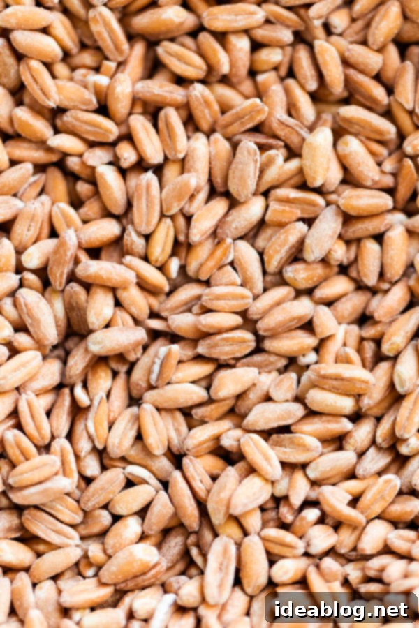 Simple Savory Mushroom Farro Risotto 2 Close-up of Bob's Red Mill Organic Farro grains, showcasing their distinct shape and quality.