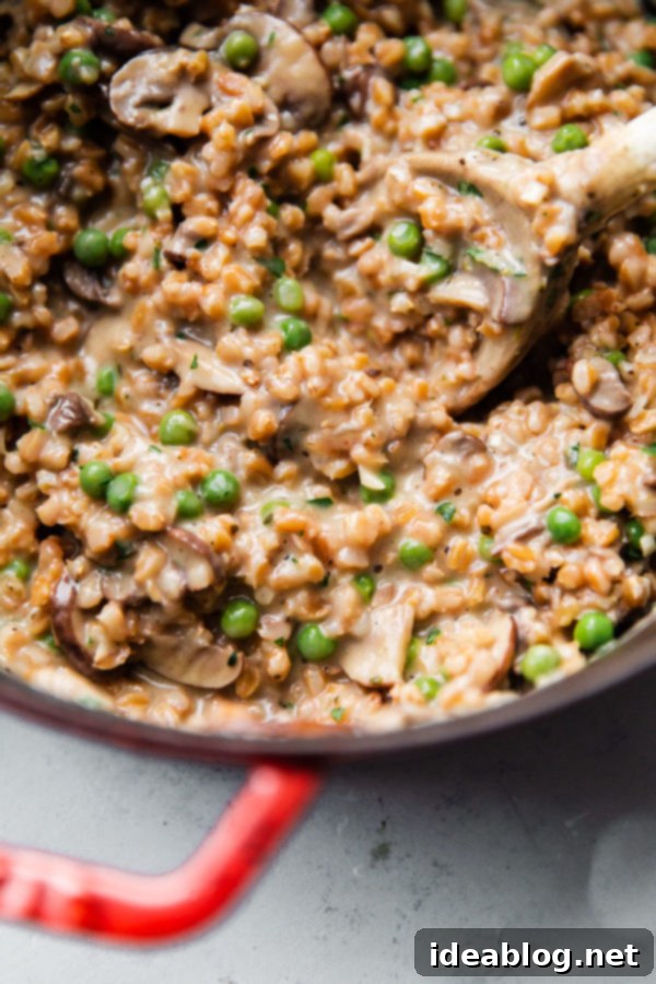 Simmering Mushroom Farro Risotto in a pot – a healthy and easy dinner made with a no-stir technique. A large pot of creamy Mushroom Farro Risotto simmering on the stovetop, ready to be served.