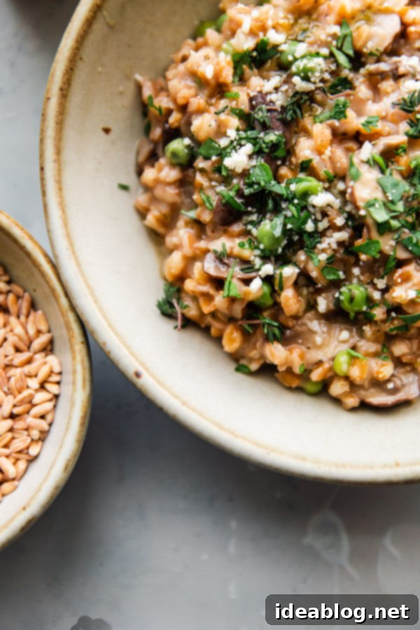 Simple Savory Mushroom Farro Risotto 5 Overhead view of a bowl of rich and savory Mushroom Farro Risotto, served with a spoon.