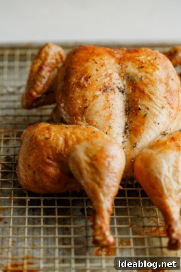 Easy Spatchcock Chicken Recipe - a SIMPLE spatchcock chicken recipe, seasoned with fresh thyme and lemon zest, along with helpful tips on how to roast a chicken. This easy staple dish makes a great addition to your weekly meal prep! #abeautifulplate #roastchicken #spatchcock #cookingguide #recipe #mealprep #easyrecipes Perfectly Roasted Spatchcock Chicken on a Sheet Pan with fresh herbs and lemon