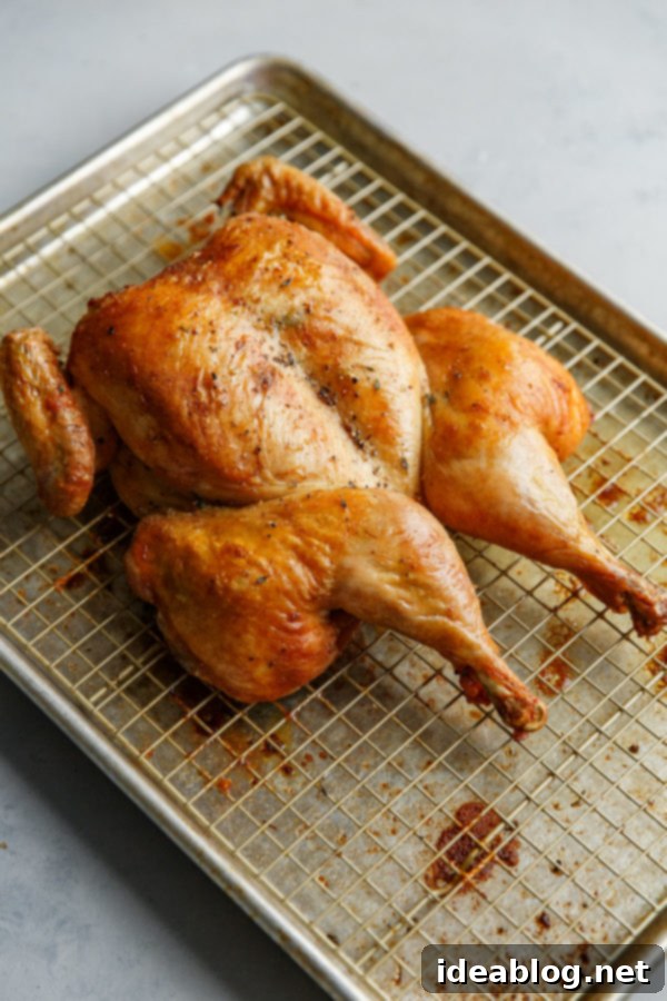 Easy Spatchcock Chicken Recipe - a SIMPLE spatchcock chicken recipe, seasoned with fresh thyme and lemon zest, along with helpful tips on how to roast a chicken. This easy staple dish makes a great addition to your weekly meal prep! #abeautifulplate #roastchicken #spatchcock #cookingguide #recipe #mealprep #easyrecipes Crispy Roasted Spatchcock Chicken fresh out of the oven