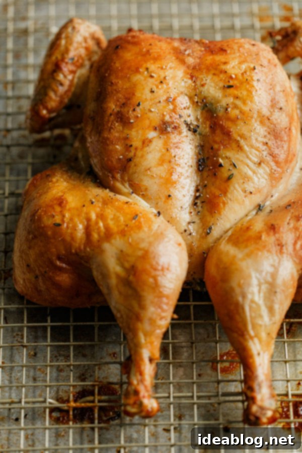 Easy Spatchcock Chicken Recipe - a SIMPLE spatchcock chicken recipe, seasoned with fresh thyme and lemon zest, along with helpful tips on how to roast a chicken. This easy staple dish makes a great addition to your weekly meal prep! #abeautifulplate #roastchicken #spatchcock #cookingguide #recipe #mealprep #easyrecipes Platter of Roasted Spatchcock Chicken ready to be served