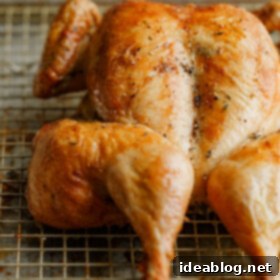Easy Spatchcock Chicken 2 Roasted Spatchcock Chicken on Sheet Pan