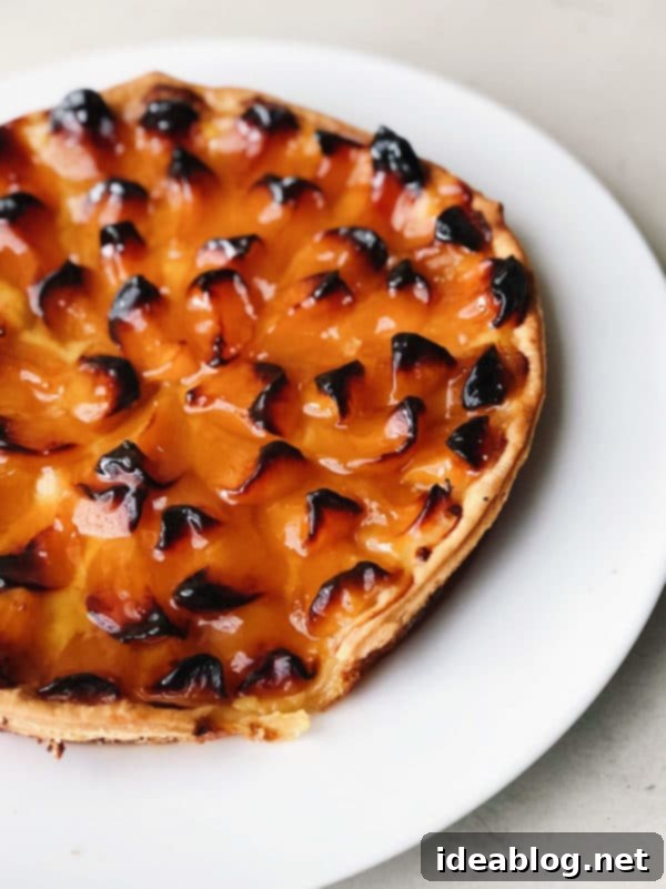 Provence Calling Your French Countryside Handbook 7 Delicious French Apricot Tart