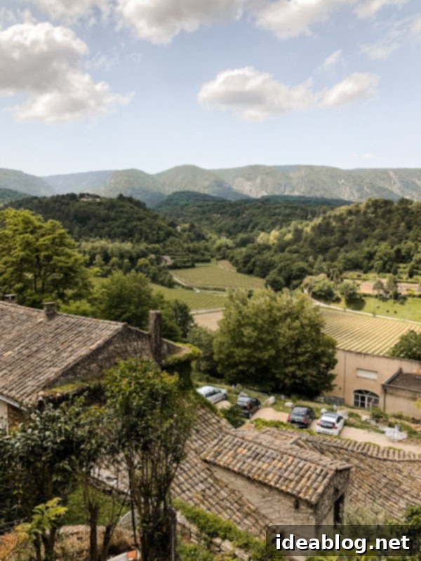 Provence Calling Your French Countryside Handbook 9 Maison O Patio View in Ménerbes