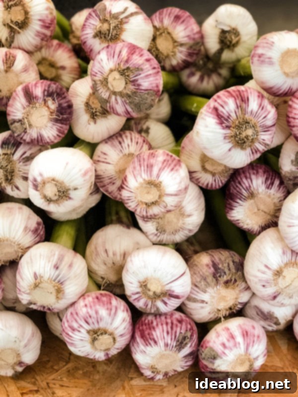 Provence Calling Your French Countryside Handbook 14 Fresh Garlic at a Luberon Market