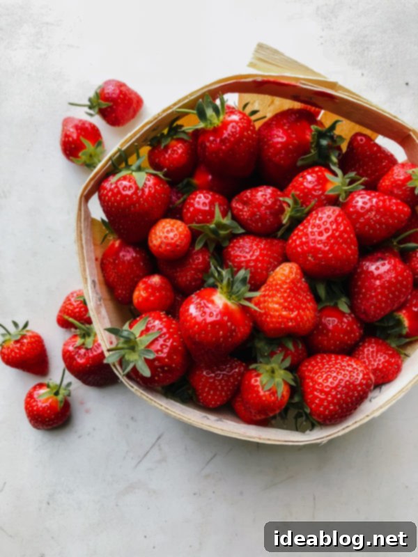Provence Calling Your French Countryside Handbook 3 Freshly Picked French Strawberries