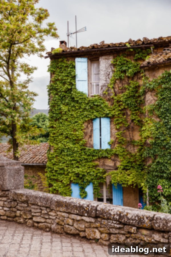 Provence France travel guide, focused on the Luberon, with recommendations on must-visit destinations, where to stay, and where to eat in the region. #travel #france #travelguide #abeautifulplate #provence Charming Provence House with Ivy and Blue Shutters
