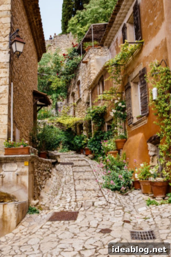 Provence France travel guide, focused on the Luberon, with recommendations on must-visit destinations, where to stay, and where to eat in the region. #travel #france #travelguide #abeautifulplate #provence Joucas village in Provence, France