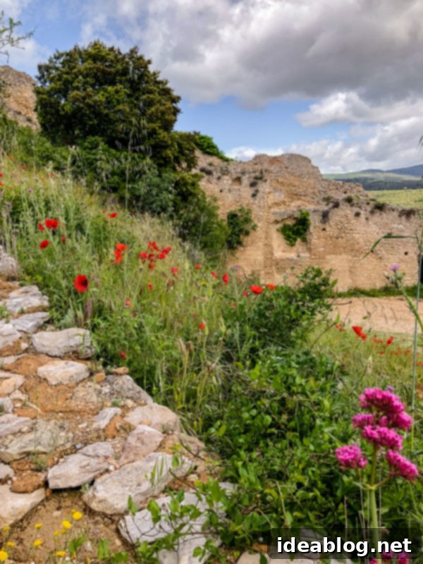 Provence Calling Your French Countryside Handbook 24 Historical buildings in Saint-Saturnin-lès-Apt