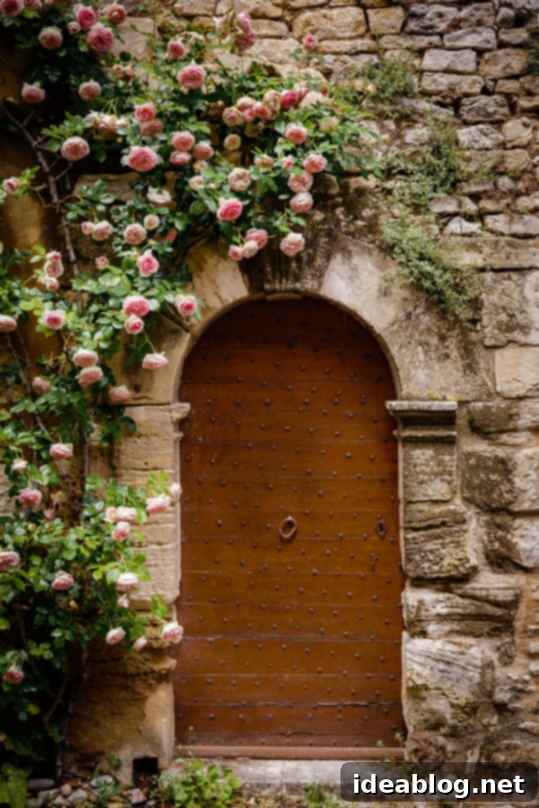 Provence France travel guide, focused on the Luberon, with recommendations on must-visit destinations, where to stay, and where to eat in the region. #travel #france #travelguide #abeautifulplate #provence French Door with Climbing Roses in Provence