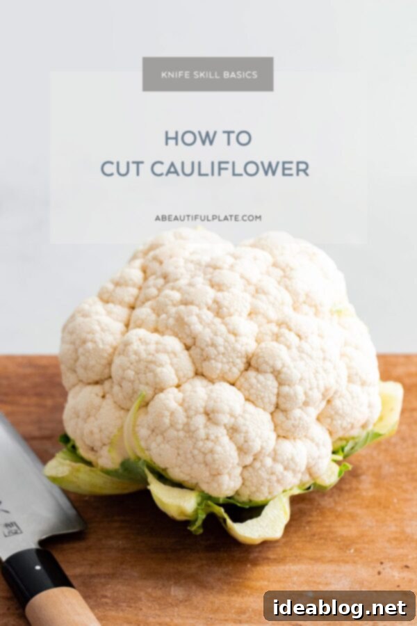 How to Cut Cauliflower - a simple step by step guide on how to cut cauliflower (and how to cut cauliflower florets) for your favorite cauliflower recipes. #abeautifulplate #cooking #guide #cauliflower #howto How to Cut Cauliflower - a simple step by step guide on how to cut cauliflower (and how to cut cauliflower florets) for your favorite cauliflower recipes.