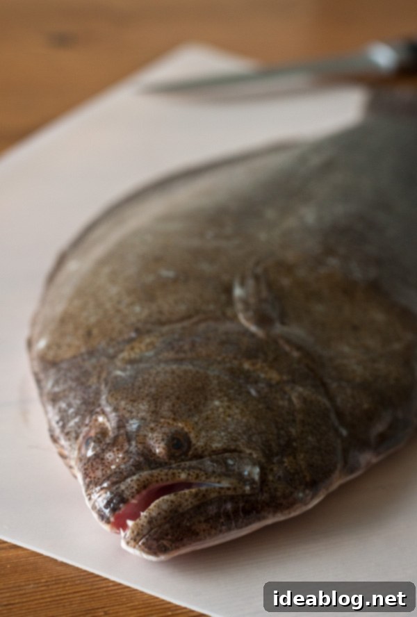 Fillet Flat Fish Like a Pro 2 Whole Flounder
