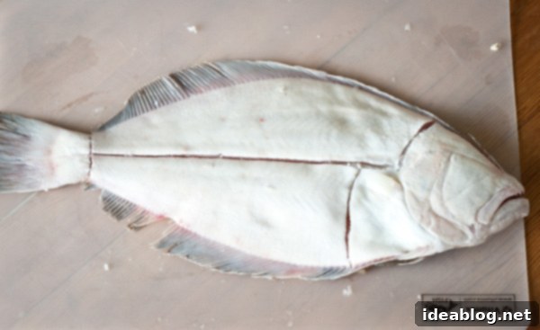 Fillet Flat Fish Like a Pro 3 How to Fillet A Flat Fish - a simple description and step-by-step photos on how to fillet a flat fish (flounder), as well as simple preparation ideas for the kitchen.