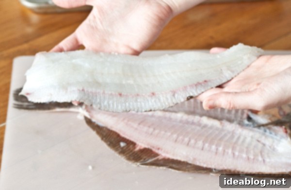 Fillet Flat Fish Like a Pro 4 How to Fillet A Flat Fish - a simple description and step-by-step photos on how to fillet a flat fish (flounder), as well as simple preparation ideas for the kitchen.