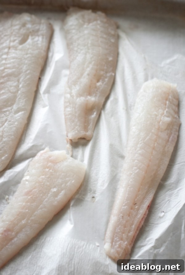 Fillet Flat Fish Like a Pro 6 Raw Flounder Fillets