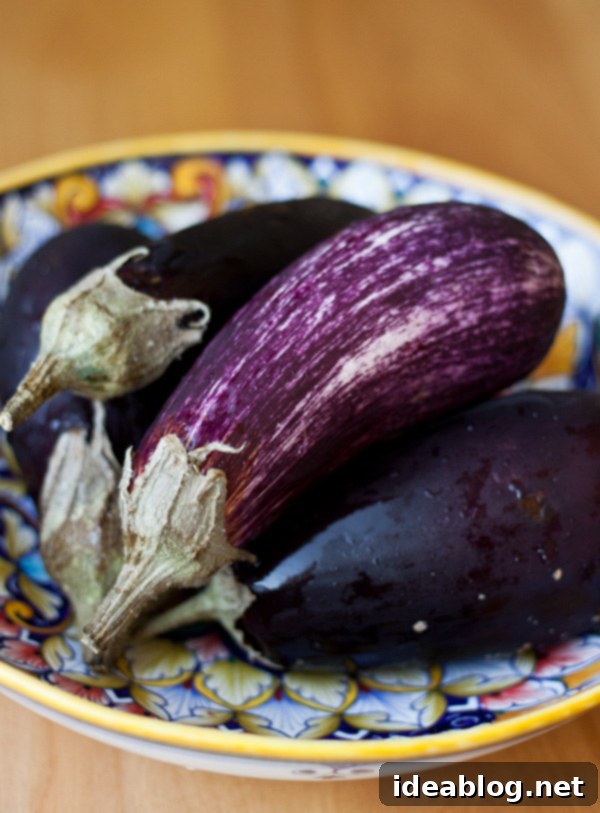 Fire-Kissed Eggplant Dip 3 Fresh Graffiti and Italian Eggplant Varieties