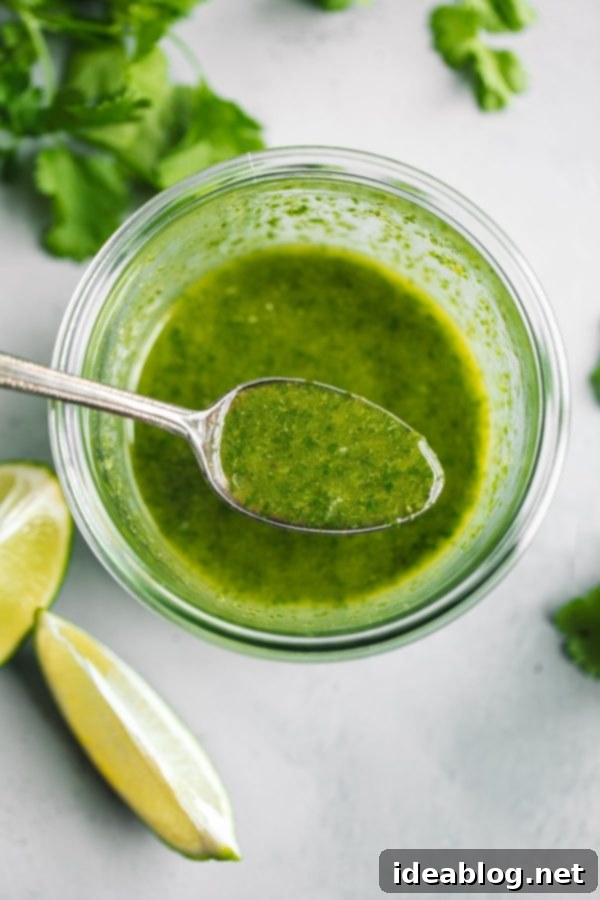 Cilantro Lime Vinaigrette - this bright herb vinaigrette, infused with fresh jalapeño, is delicious tossed with salads, grain bowls, and other dishes! #cilantro #lime #vinaigrette #abeautifulplate Cilantro Lime Vinaigrette