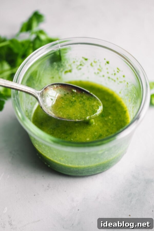 Cilantro Lime Vinaigrette - this bright herb vinaigrette, infused with fresh jalapeño, is delicious tossed with salads, grain bowls, and other dishes! #cilantro #lime #vinaigrette #abeautifulplate Cilantro Lime Jalapeno Vinaigrette