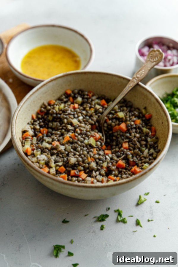 French Lentil Salad, beautifully composed with vegetables and herbs.