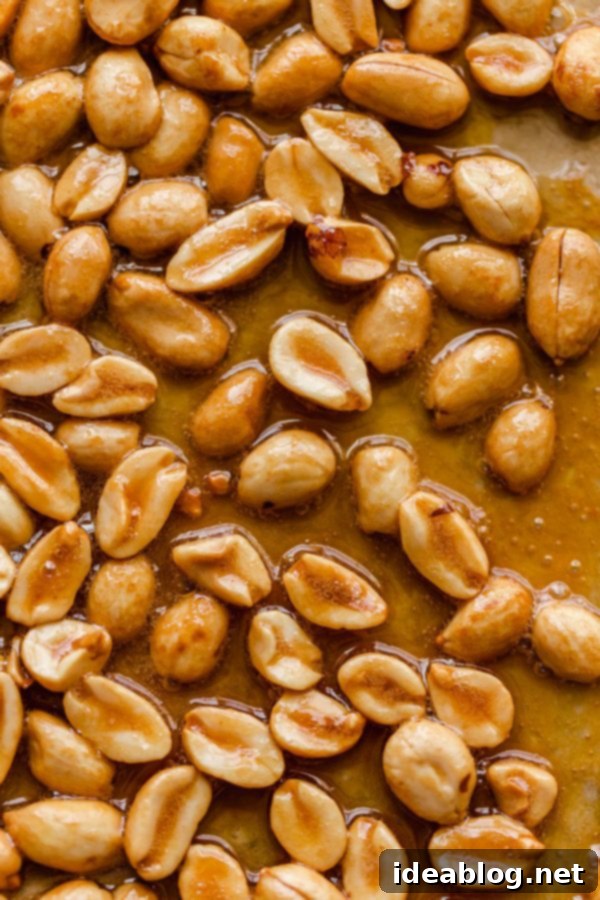 Golden Honey Peanut Butter Custard Pops 7 Candied Peanuts Coated in Caramel