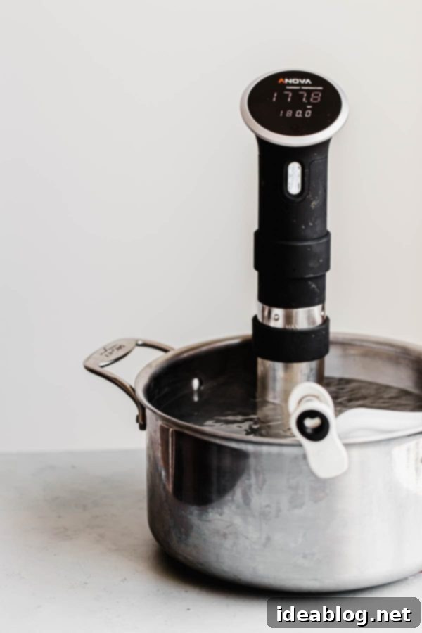 Golden Honey Peanut Butter Custard Pops 5 Immersion Circulator in Water Bath for Sous Vide Cooking