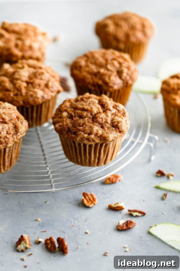 Wholesome Apple Cinnamon Muffins 6 Crumb shot of Whole Wheat Apple Cinnamon Muffins showing moist texture and pecans.