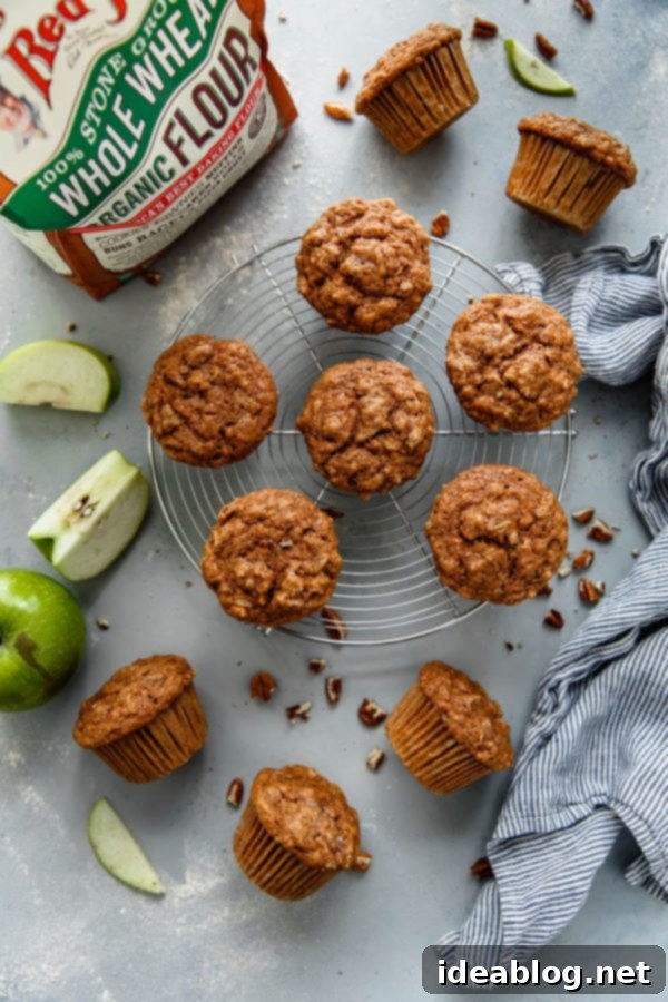 Golden-Baked Whole Wheat Apple Cinnamon Muffins Perfectly baked Apple Cinnamon Muffins, domed and golden brown.