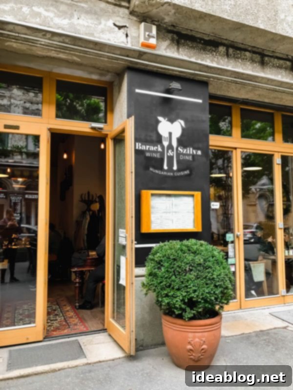 Budapest Uncovered: Your Complete Guide 12 Traditional Hungarian dish at Barack & Szilva Étterem