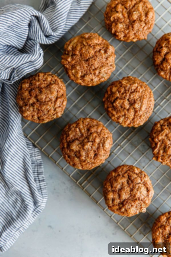 10 fall baked goods recipes to try this season. From easy muffins to breakfast cakes, pastries, sheet cakes and fruit pies, this list has you covered! #abeautifulplate #fall Whole Wheat Apple Cinnamon Muffins - moist and wholesome fall muffins