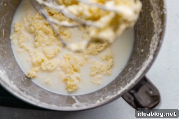 The Art of Cultured Butter 13 Homemade Butter Mixing in Stand Mixer