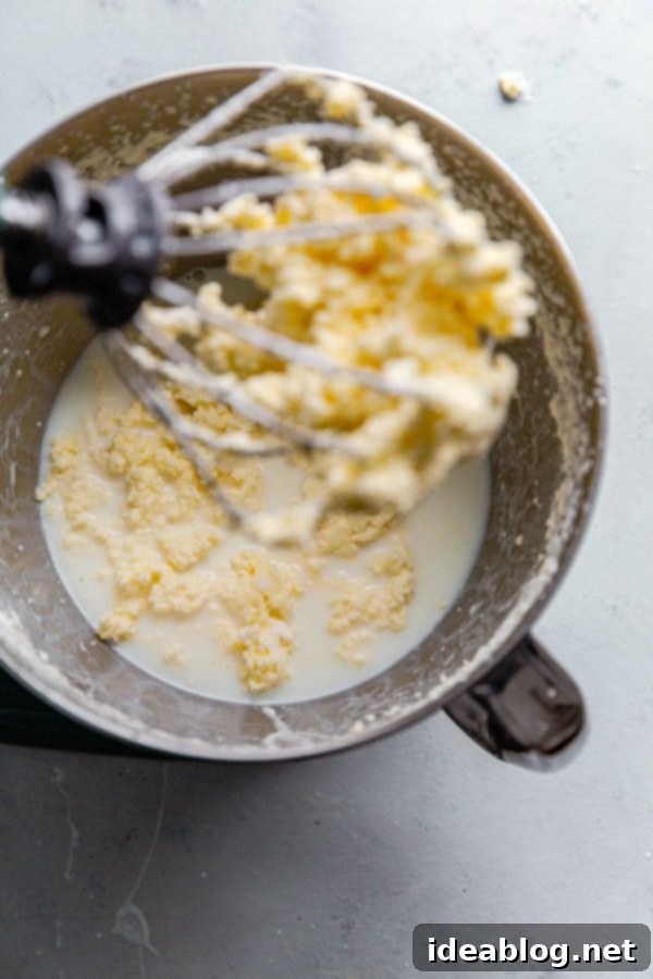 Butter Fat Separating from Buttermilk During Churning Process Close-up of butterfat forming a solid mass around the whisk attachment in a stand mixer bowl, with clear separation from the collected buttermilk.