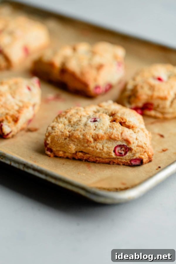 Sunrise Cranberry Orange Scones 8 A basket of freshly baked Cranberry Orange Scones with a rustic charm.