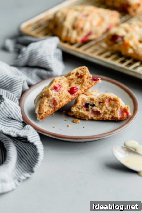 Beautifully presented Cranberry Orange Scones – a cherished fall and holiday recipe, featuring tart fresh cranberries, vibrant orange zest, and ground cinnamon. Perfect for breakfast or dessert. #scones #cranberry #orange #desserts Cranberry Orange Scones on a simple white plate, invitingly arranged.