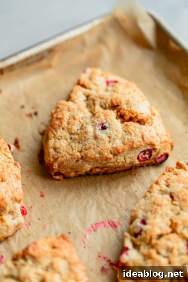 Cranberry Orange Scones - a perfect fall and holiday recipe, featuring tart fresh cranberries, vibrant orange zest, and a hint of cinnamon. Great for breakfast, dessert, or a festive brunch. Close-up of freshly baked Cranberry Orange Scones, showcasing their flaky texture and fruit-studded interior.