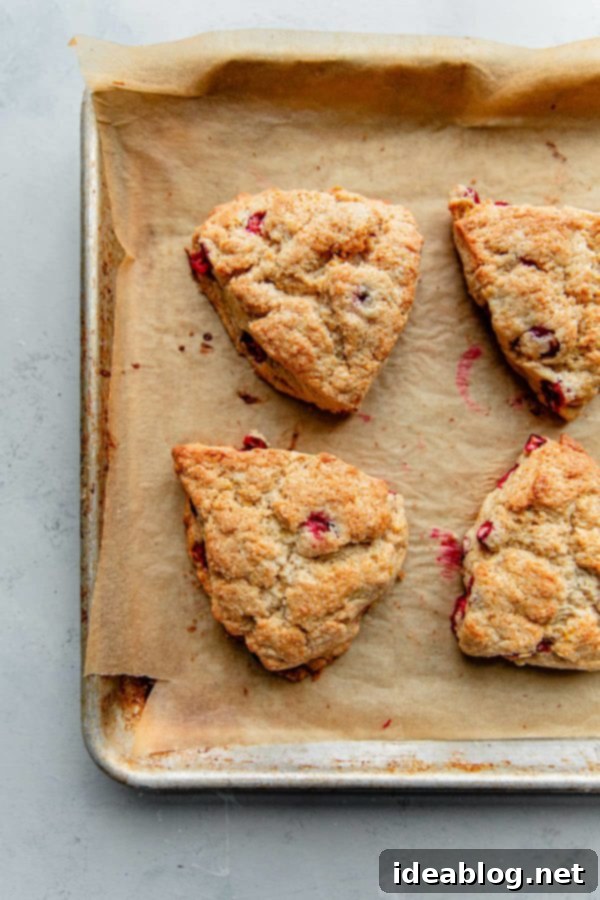 Sunrise Cranberry Orange Scones 2 Two freshly baked Cranberry Orange Scones on a wire rack, ready for glazing.