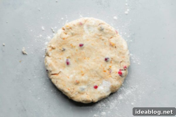 Sunrise Cranberry Orange Scones 7 Lightly formed cranberry orange scone dough in a bowl, showing its rustic texture.