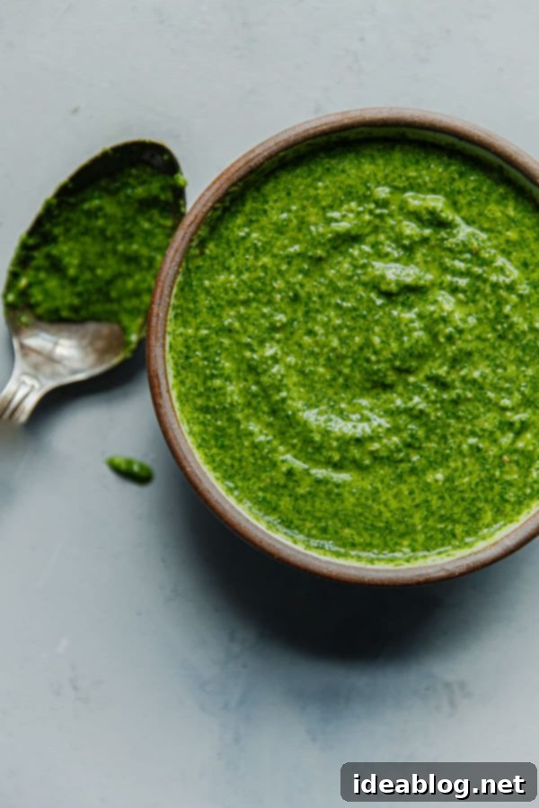 EASY Arugula Pesto Pasta - an easy twist on basil pesto made with baby arugula! Bright, peppery in flavor, and affordable to make, this arugula pesto pasta is a year-round favorite. #pasta #easydinner #recipe #abeautifulplate #arugula #pesto Homemade Arugula Pesto in a rustic bowl with a spoon