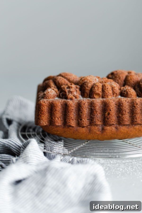 This EASY Moist Pumpkin Bread will quickly become your new favorite pumpkin bread recipe! This pumpkin bread comes together with just two mixing bowls and everyday ingredients. #abeautifulplate #pumpkin #dessert #quickbread #recipe #fall #holiday #halloween #thanksgiving Close-up of the tender crumb of an easy moist pumpkin bread