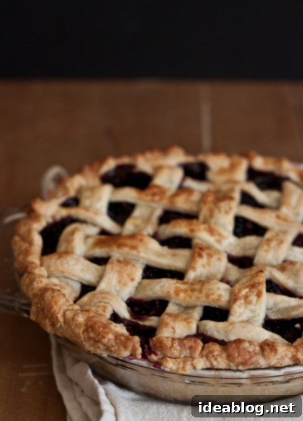 Ginger-Kissed Blackberry Weave 2 Blackberry Ginger Lattice Pie