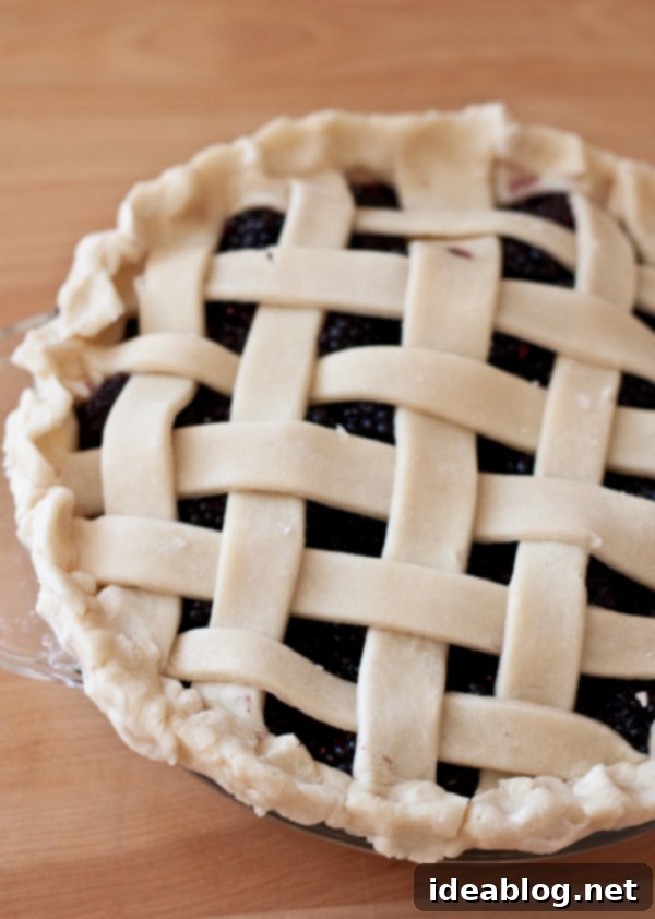 Ginger-Kissed Blackberry Weave 3 Blackberry Ginger Lattice Pie