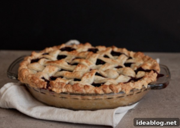 Ginger-Kissed Blackberry Weave 4 Blackberry Ginger Lattice Pie