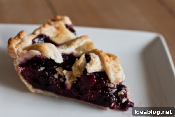 Ginger-Kissed Blackberry Weave 5 Slice of Blackberry Ginger Lattice Pie