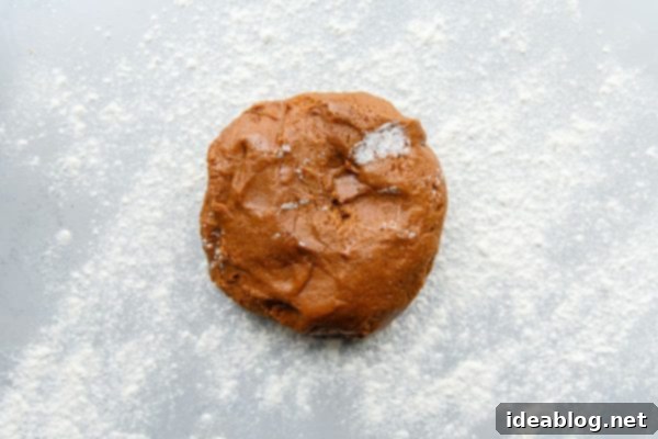 Spiced German Christmas Cookies 5 Lebkuchen Dough on Floured Surface