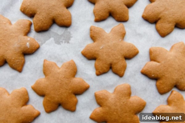German Lebkuchen Cookies - traditional glazed German Christmas cookies made with warming spices, for a festive treat to enjoy around the holiday season! Baked Lebkuchen