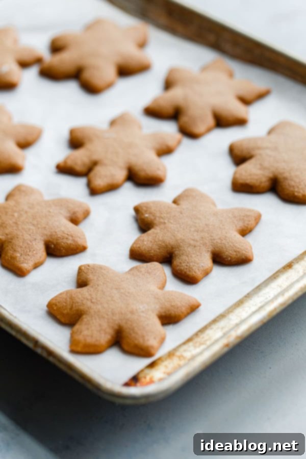 German Lebkuchen Cookies - traditional glazed German Christmas cookies made with warming spices, for a festive treat to enjoy around the holiday season! Lebkuchen Cookies on Parchment Lined Baking Sheet